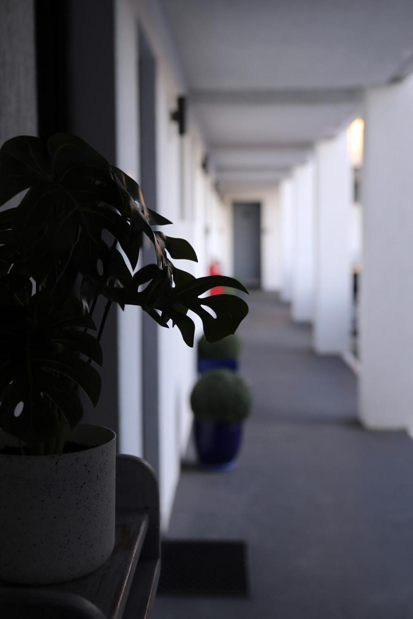 Zorba Waterfront Motel Batemans Bay Dış mekan fotoğraf