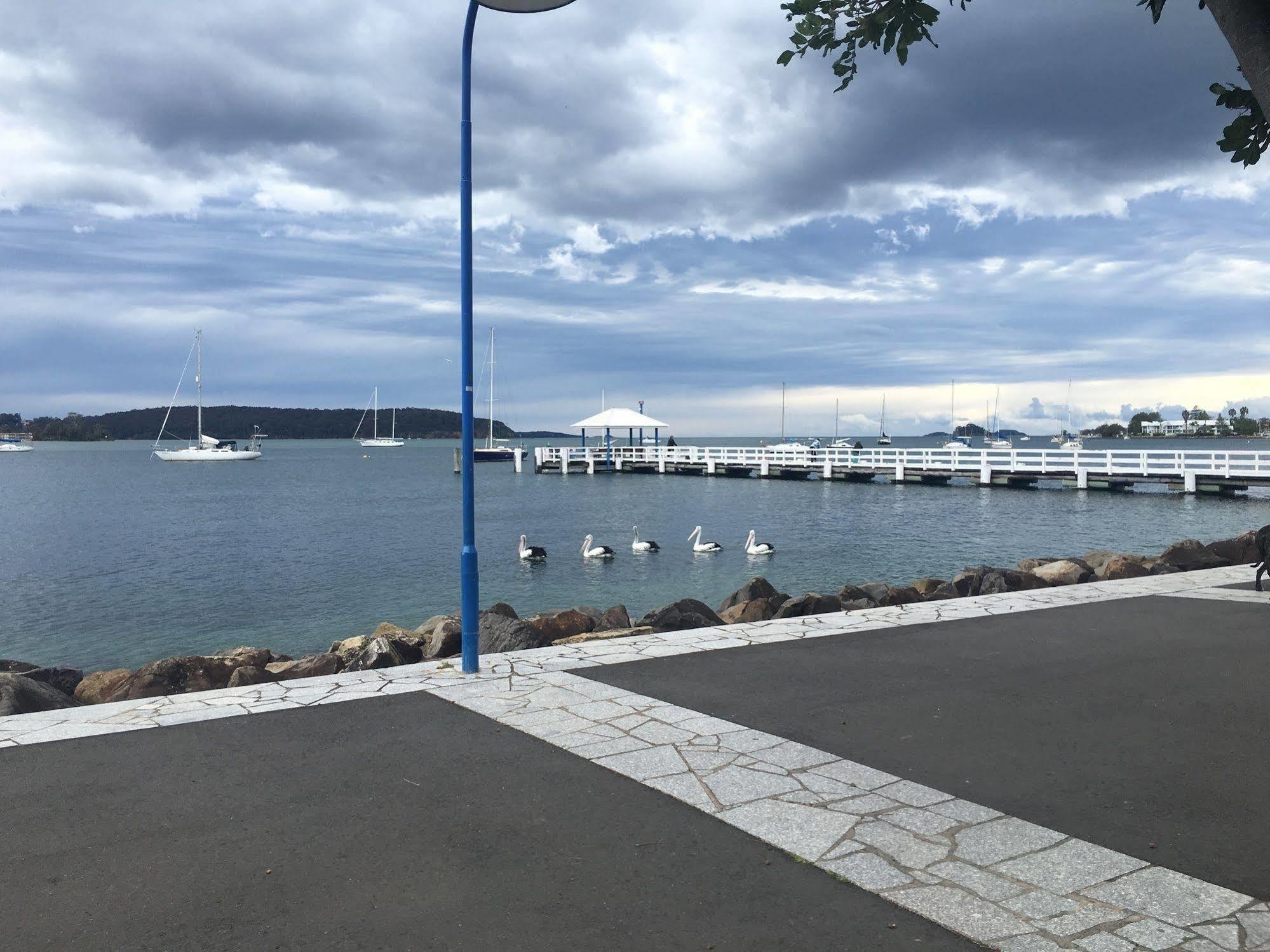 Zorba Waterfront Motel Batemans Bay Dış mekan fotoğraf